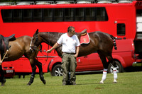 Maiz Dulce v Emlor in a Barrett Cup Polo match 2013.06.30