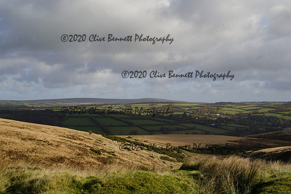 _CAB7921