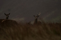 _CAB0026