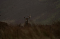 _CAB0027