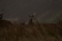 _CAB0028