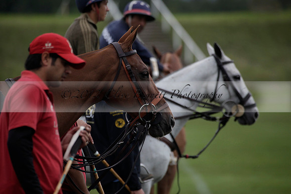 La Bamba de Areco v Richard Mille in a Veuve Clicquot Gold Cup Polo match played on Ambersham 1  on Wednesday 04 July 2012