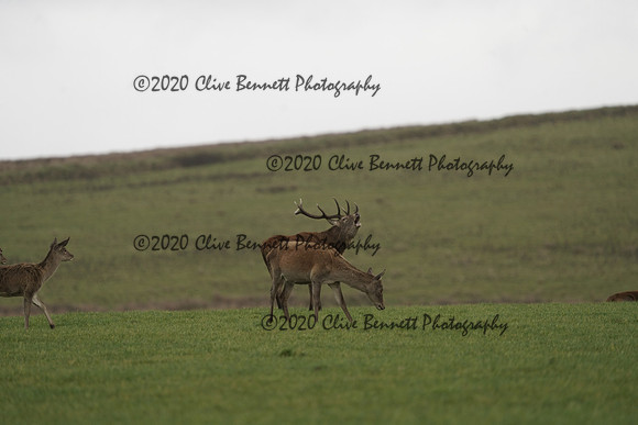 _CAB0129