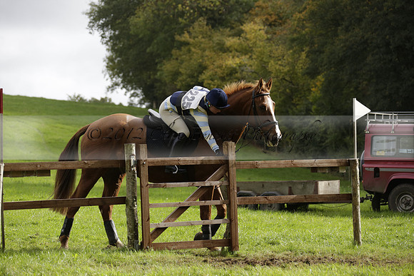 Chiddingfold, Leconfield and Cowdray Hunt, Hunter Trials at Iping on Sunday 20 October 2013. 2013.10.20 www.polopictures.co.uk