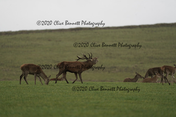 _CAB0160