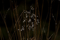 _CAB8807
