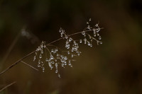 _CAB8810