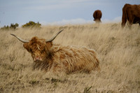 _CAB6114