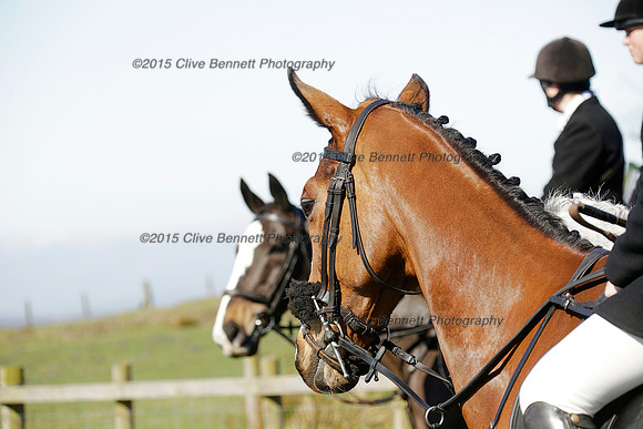 _CB_8993