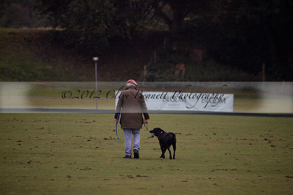 Maiz Dulce v Las Estrallas on Sunday 23 July 2012 at Cowdray Par