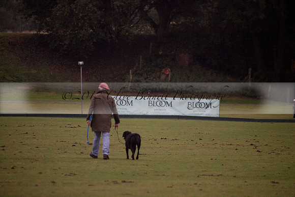 Maiz Dulce v Las Estrallas on Sunday 23 July 2012 at Cowdray Par