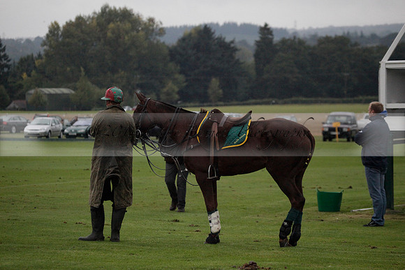 Maiz Dulce v Las Estrallas on Sunday 23 July 2012 at Cowdray Par