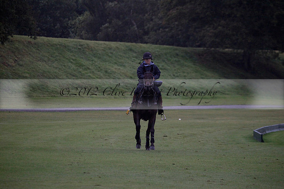 Maiz Dulce v Las Estrallas on Sunday 23 July 2012 at Cowdray Par