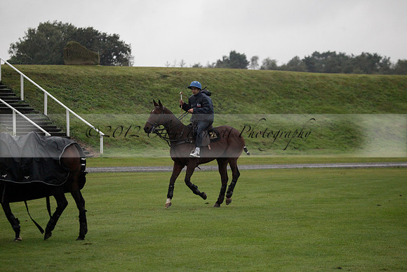 Maiz Dulce v Las Estrallas on Sunday 23 July 2012 at Cowdray Par