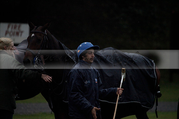 Maiz Dulce v Las Estrallas on Sunday 23 July 2012 at Cowdray Par