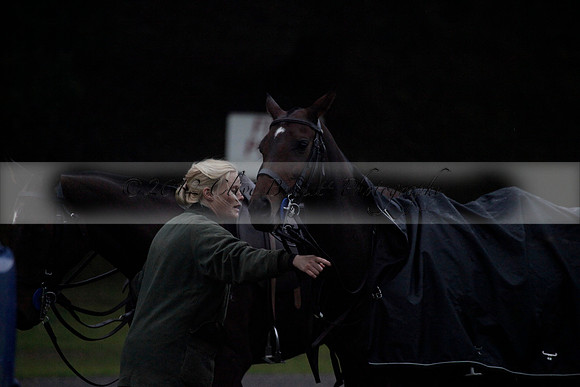 Maiz Dulce v Las Estrallas on Sunday 23 July 2012 at Cowdray Par