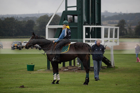 Maiz Dulce v Las Estrallas on Sunday 23 July 2012 at Cowdray Par