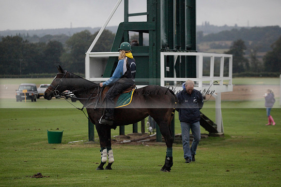 Maiz Dulce v Las Estrallas on Sunday 23 July 2012 at Cowdray Par