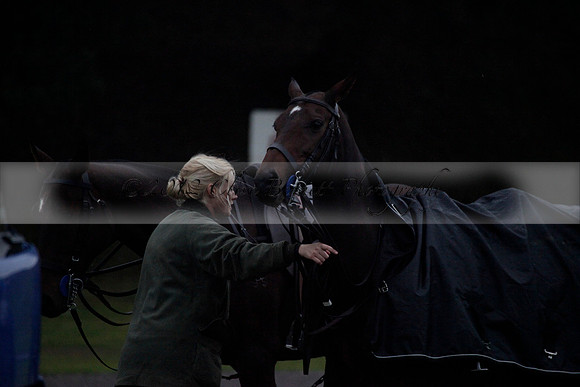 Maiz Dulce v Las Estrallas on Sunday 23 July 2012 at Cowdray Par