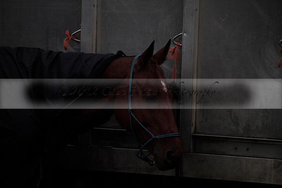 Maiz Dulce v Las Estrallas on Sunday 23 July 2012 at Cowdray Par