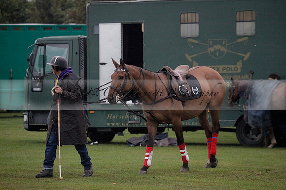 Maiz Dulce v Las Estrallas on Sunday 23 July 2012 at Cowdray Par