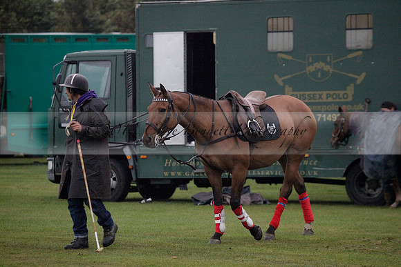 Maiz Dulce v Las Estrallas on Sunday 23 July 2012 at Cowdray Par