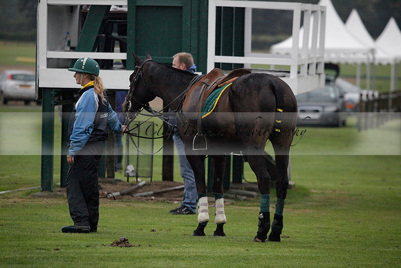 Maiz Dulce v Las Estrallas on Sunday 23 July 2012 at Cowdray Par