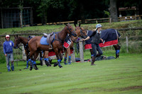 Maiz Dulce v Full Swing Polo in a Texaco Trophy polo match played on Lawns 3 at Cowdray Park Polo Club on Friday 06 July 2012