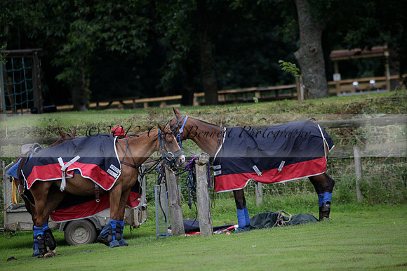 Maiz Dulce v Full Swing Polo in a Texaco Trophy polo match played on Lawns 3 at Cowdray Park Polo Club on Friday 06 July 2012