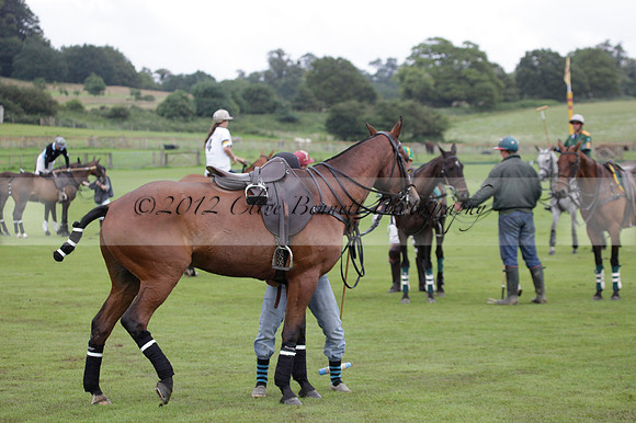 Maiz Dulce v Full Swing Polo in a Texaco Trophy polo match played on Lawns 3 at Cowdray Park Polo Club on Friday 06 July 2012
