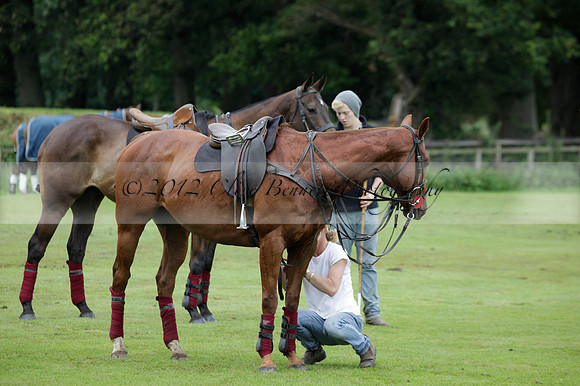 Maiz Dulce v Full Swing Polo in a Texaco Trophy polo match played on Lawns 3 at Cowdray Park Polo Club on Friday 06 July 2012