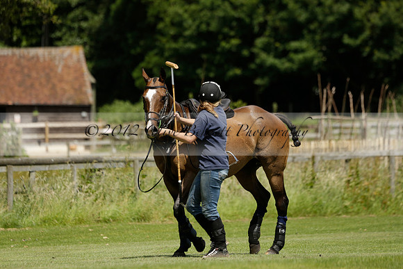 Maiz Dulce v Emlor in a Barrett Cup Polo match 2013.06.30