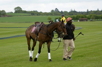 River v Maiz Dulce in a Jaeger Le Coultre Dollar Cup Polo match 2013.05.22