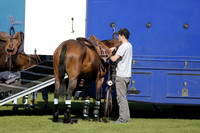 Maiz Dulce v Jaeger Le Coultre Tyro Cup Polo match 2013.05.02