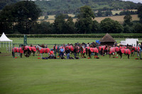 Sumaya v Cortium in a Veuve Clicquot Gold Cup semi-final polo match played on Thursday 12 July 2012 at Cowdray Park Polo Club on Ambersham 1