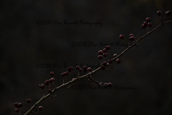 _CAB0122