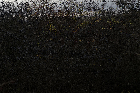 _CAB0127