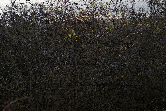 _CAB0128