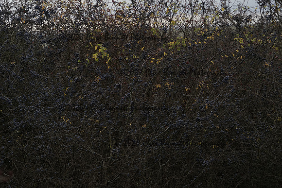 _CAB0130