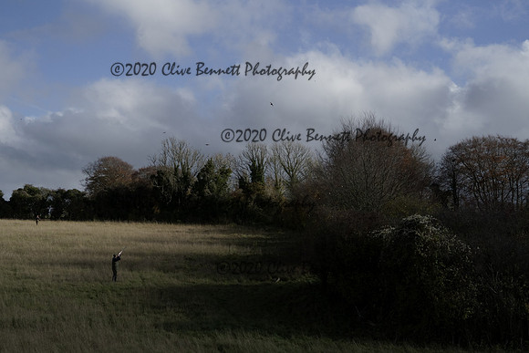 _CAB0154
