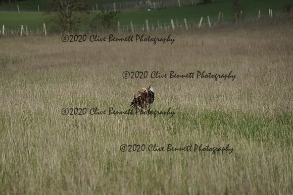 _CAB0192
