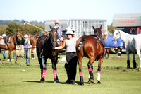 Alcedo v Manor Farm  in a Farewell Cup Polo Match 2016.09.11