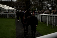 Race 4 The Betgoodwin Southern National Handicap Steeple Chase 2025.11.16