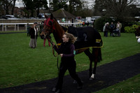 Race 6 The Betgoodwin Best Odds Guranteed Handicap Steeple Chase 2025.11.16