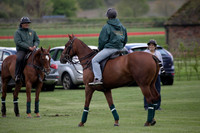 Ayala v Salkeld in the Trippetts Challenge at Manor Farm on 15.05.2012.