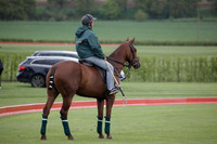 Ayala v Salkeld in the Trippetts Challenge at Manor Farm on 15.05.2012.