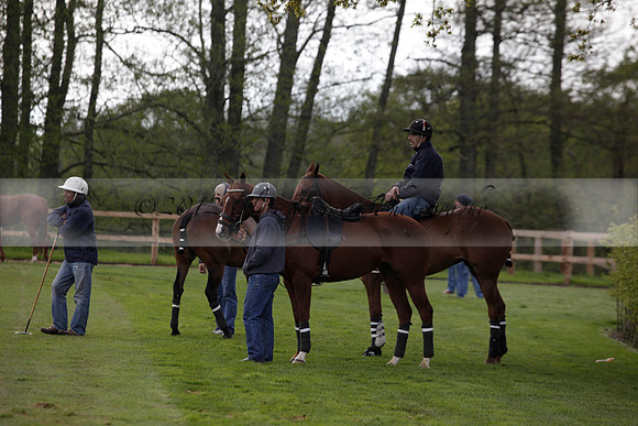 Ayala v Salkeld in the Trippetts Challenge at Manor Farm on 15.05.2012.