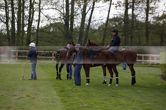 Ayala v Salkeld in the Trippetts Challenge at Manor Farm on 15.05.2012.
