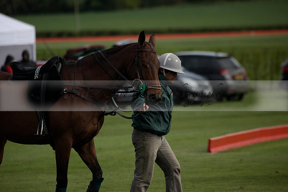 Ayala v Salkeld in the Trippetts Challenge at Manor Farm on 15.05.2012.