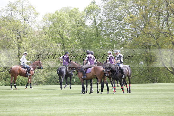 Chukkas at Brackenwood on 16.05.2012.